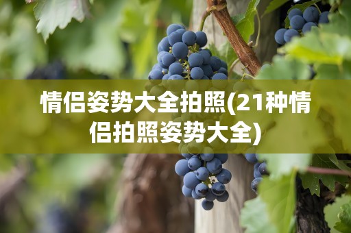 情侣姿势大全拍照(21种情侣拍照姿势大全)
