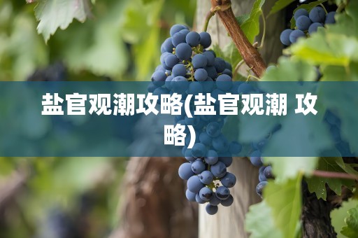 盐官观潮攻略(盐官观潮 攻略)