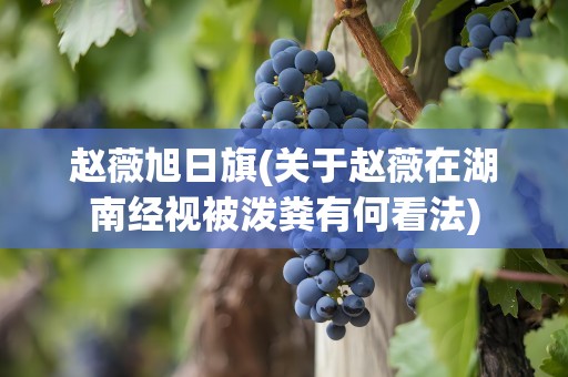 赵薇旭日旗(关于赵薇在湖南经视被泼粪有何看法)