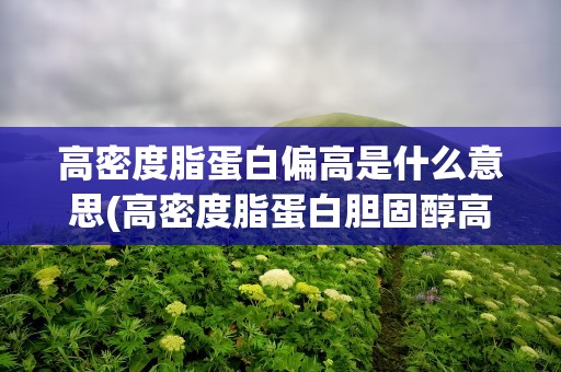 高密度脂蛋白偏高是什么意思(高密度脂蛋白胆固醇高怎么回事)