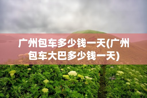 广州包车多少钱一天(广州包车大巴多少钱一天)