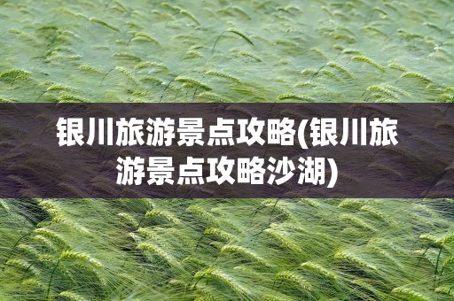 银川旅游景点攻略(银川旅游景点攻略沙湖)