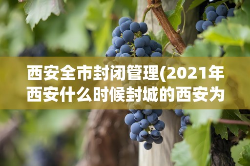 西安全市封闭管理(2021年西安什么时候封城的西安为什么要封城)