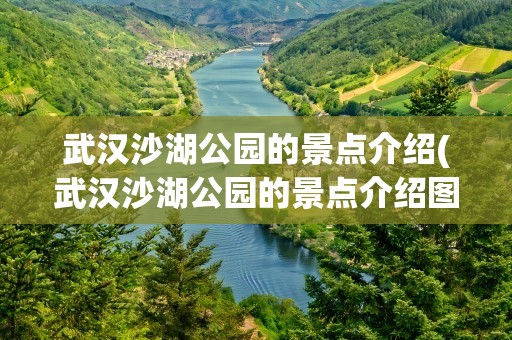 武汉沙湖公园的景点介绍(武汉沙湖公园的景点介绍图片)