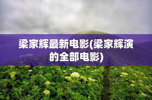 梁家辉最新电影(梁家辉演的全部电影)