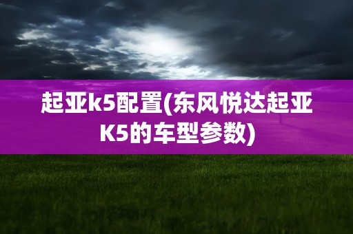 起亚k5配置(东风悦达起亚K5的车型参数)