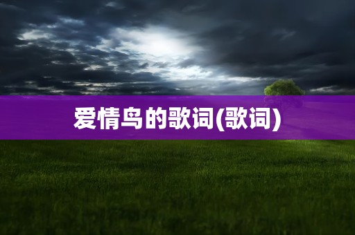 爱情鸟的歌词(歌词)