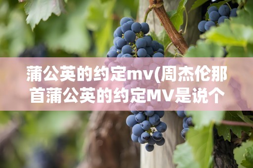 蒲公英的约定mv(周杰伦那首蒲公英的约定MV是说个什么样的故事)