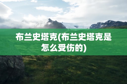 布兰史塔克(布兰史塔克是怎么受伤的)