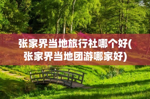 张家界当地旅行社哪个好(张家界当地团游哪家好)