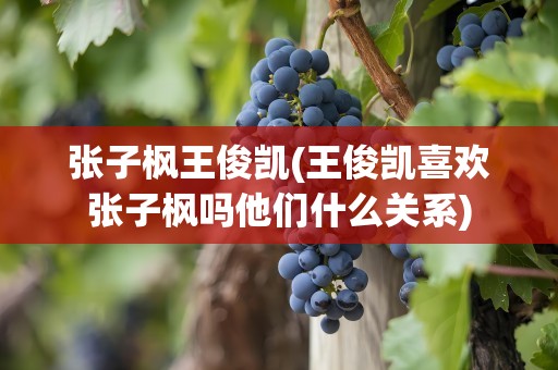张子枫王俊凯(王俊凯喜欢张子枫吗他们什么关系)