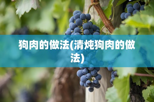 狗肉的做法(清炖狗肉的做法)