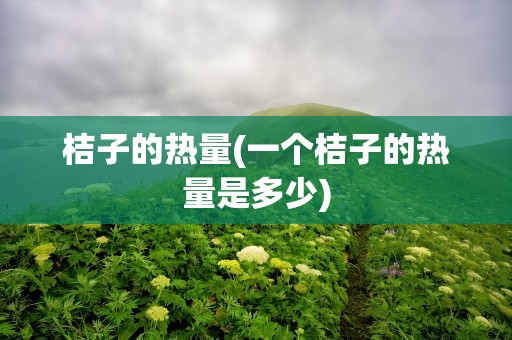 桔子的热量(一个桔子的热量是多少)