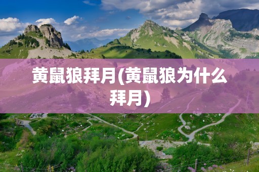 黄鼠狼拜月(黄鼠狼为什么拜月)