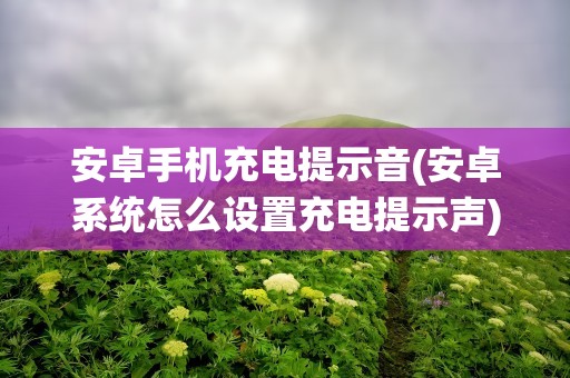 安卓手机充电提示音(安卓系统怎么设置充电提示声)