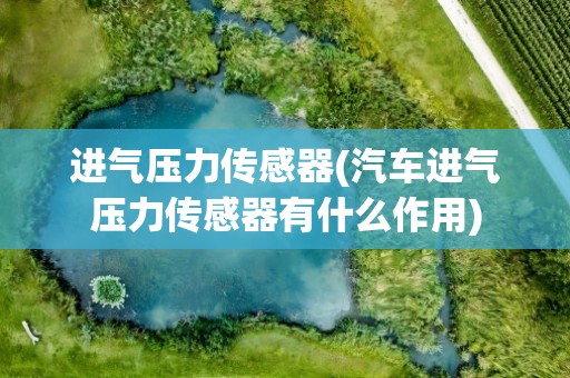 进气压力传感器(汽车进气压力传感器有什么作用)
