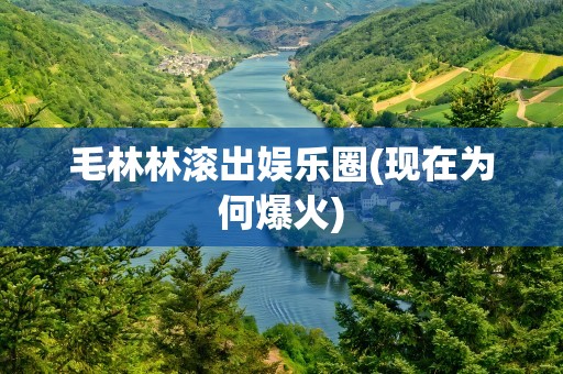毛林林滚出娱乐圈(现在为何爆火)