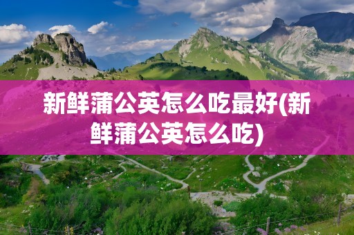 新鲜蒲公英怎么吃最好(新鲜蒲公英怎么吃)