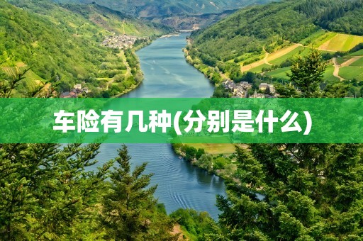 车险有几种(分别是什么)