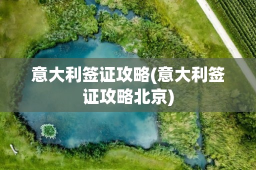 意大利签证攻略(意大利签证攻略北京)