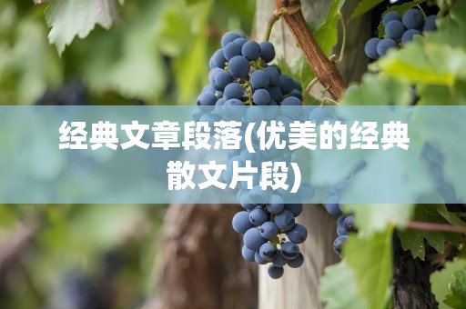 经典文章段落(优美的经典散文片段)
