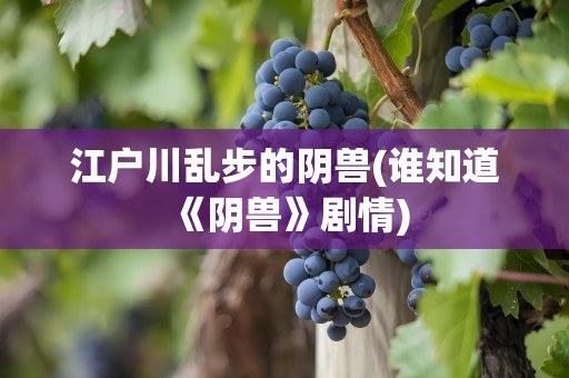 江户川乱步的阴兽(谁知道《阴兽》剧情)