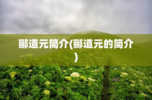 郦道元简介(郦道元的简介)