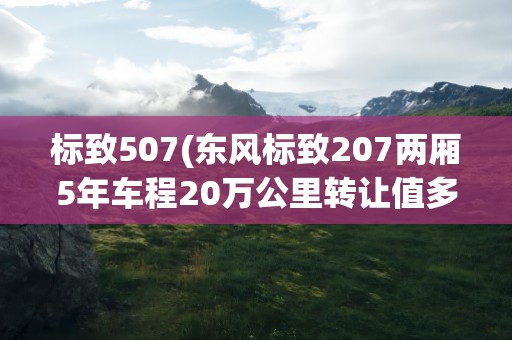 标致507(东风标致207两厢5年车程20万公里转让值多少钱)