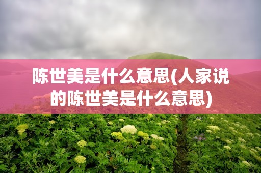 陈世美是什么意思(人家说的陈世美是什么意思)
