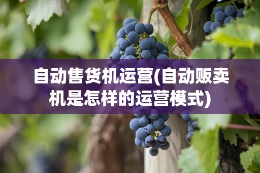 自动售货机运营(自动贩卖机是怎样的运营模式)