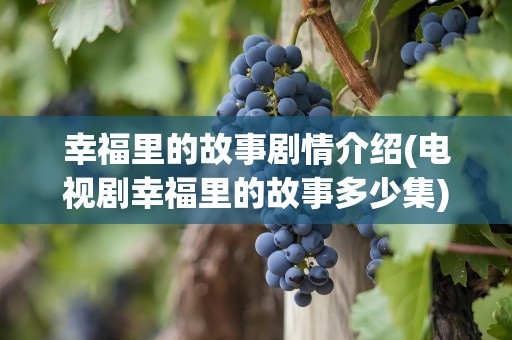 幸福里的故事剧情介绍(电视剧幸福里的故事多少集)