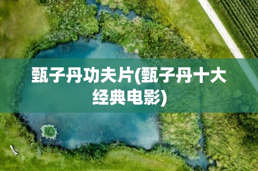 甄子丹功夫片(甄子丹十大经典电影)