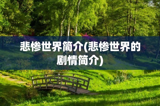 悲惨世界简介(悲惨世界的剧情简介)