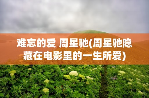 难忘的爱 周星驰(周星驰隐藏在电影里的一生所爱)