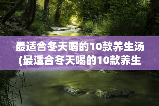 最适合冬天喝的10款养生汤(最适合冬天喝的10款养生汤(寒冷的冬天不妨试试这10款鱼汤))