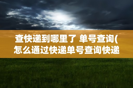 查快递到哪里了 单号查询(怎么通过快递单号查询快递到了哪里)