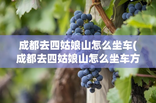 成都去四姑娘山怎么坐车(成都去四姑娘山怎么坐车方便)