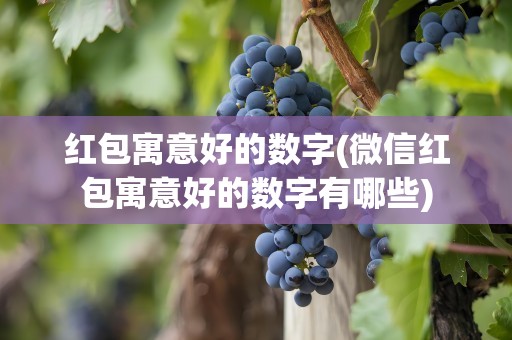 红包寓意好的数字(微信红包寓意好的数字有哪些)