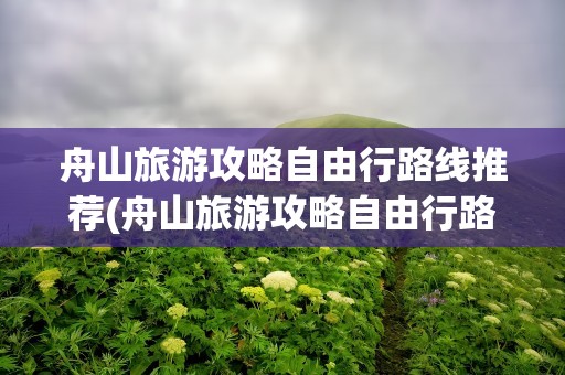 舟山旅游攻略自由行路线推荐(舟山旅游攻略自由行路线推荐图)