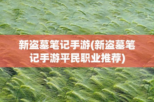 新盗墓笔记手游(新盗墓笔记手游平民职业推荐)