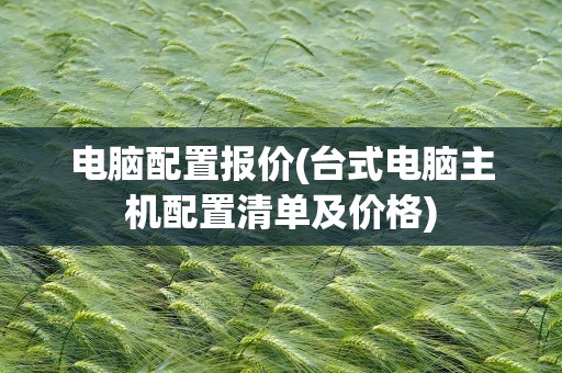 电脑配置报价(台式电脑主机配置清单及价格)
