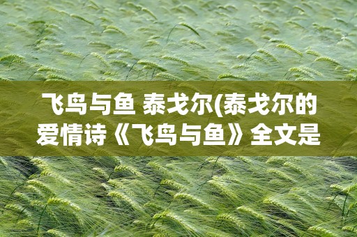 飞鸟与鱼 泰戈尔(泰戈尔的爱情诗《飞鸟与鱼》全文是什么)