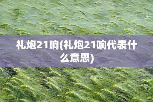 礼炮21响(礼炮21响代表什么意思)
