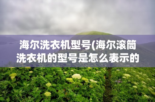 海尔洗衣机型号(海尔滚筒洗衣机的型号是怎么表示的)