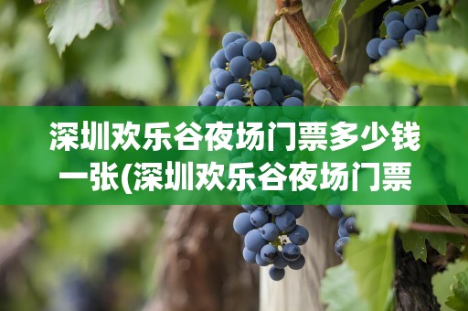 深圳欢乐谷夜场门票多少钱一张(深圳欢乐谷夜场门票多少钱一张啊)