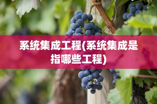 系统集成工程(系统集成是指哪些工程)