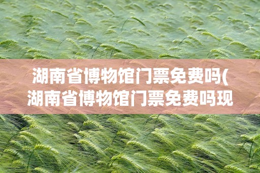 湖南省博物馆门票免费吗(湖南省博物馆门票免费吗现在)