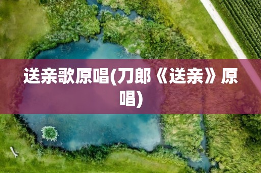 送亲歌原唱(刀郎《送亲》原唱)