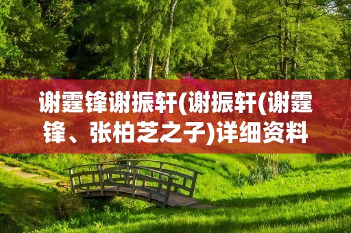 谢霆锋谢振轩(谢振轩(谢霆锋、张柏芝之子)详细资料大全)
