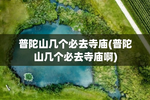 普陀山几个必去寺庙(普陀山几个必去寺庙啊)